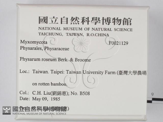 登錄號:F0021129藏品圖，第2張