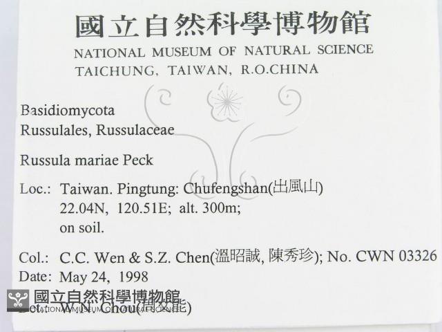 登錄號:F0011129藏品圖，第2張