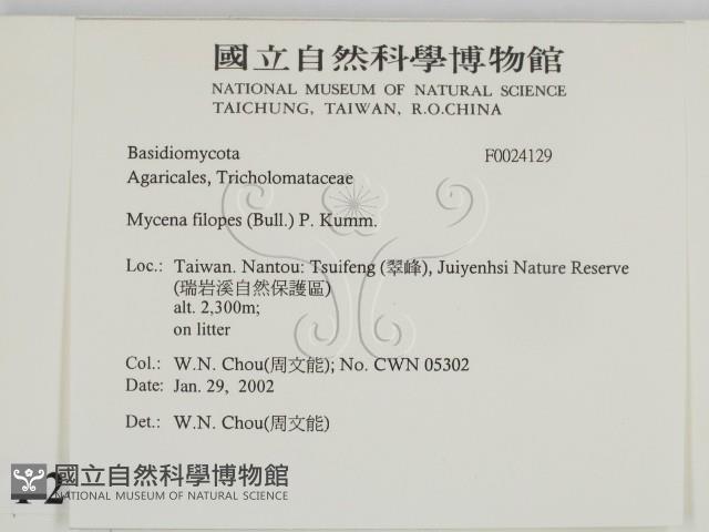 登錄號:F0024129藏品圖，第2張