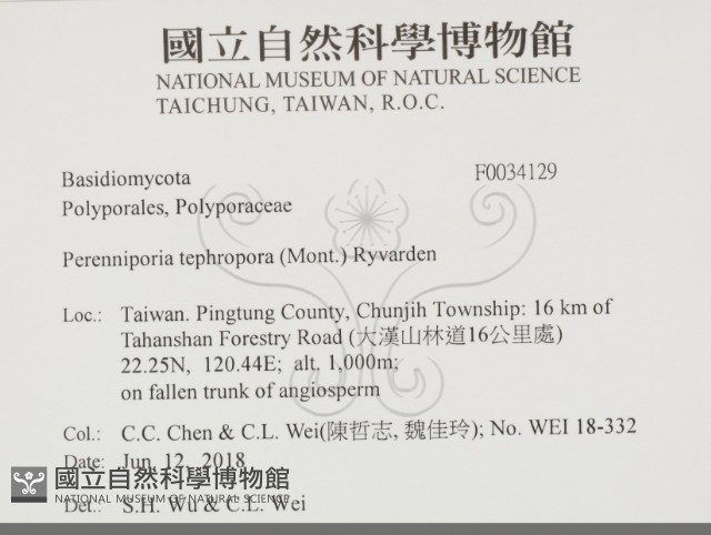 登錄號:F0034129藏品圖，第2張