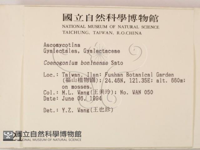 登錄號:F0002129藏品圖，第2張