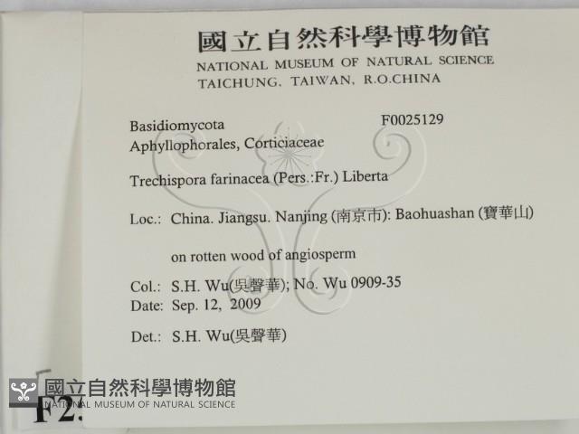 登錄號:F0025129藏品圖，第2張