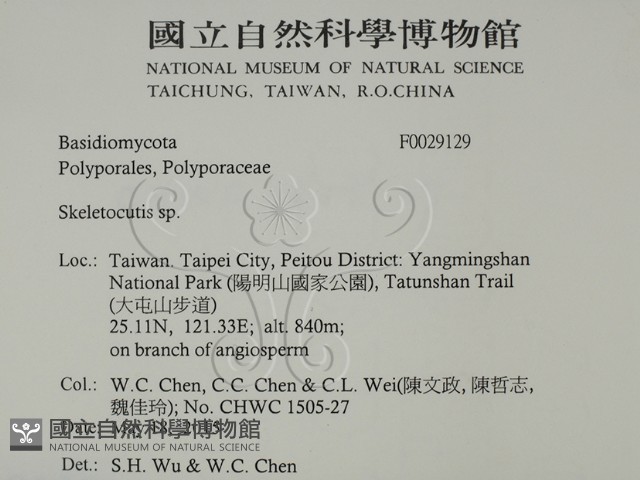 骨皮菌屬藏品圖，第2張