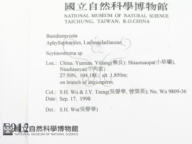 登錄號:F0009129藏品圖，第2張