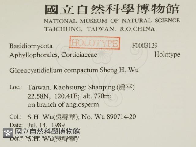 登錄號:F0003129藏品圖，第2張