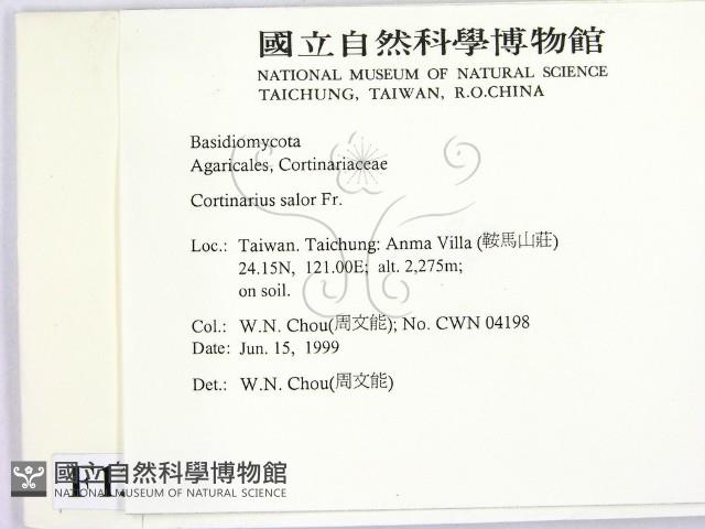 登錄號:F0013129藏品圖，第2張