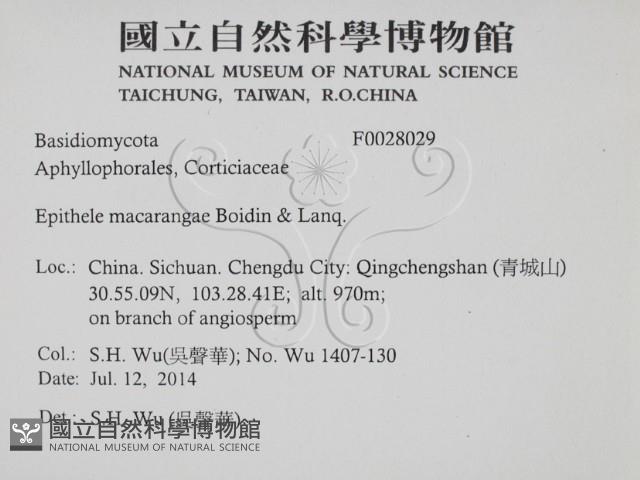 登錄號:F0028029藏品圖，第2張