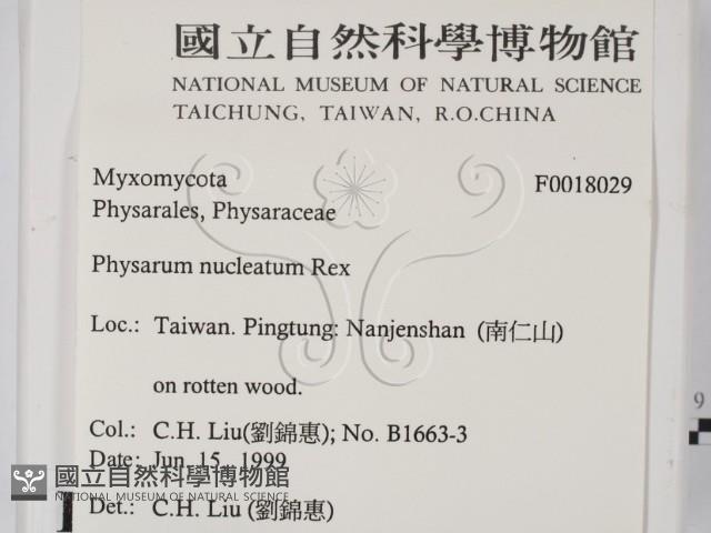登錄號:F0018029藏品圖，第2張