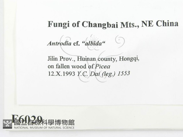 登錄號:F0006029藏品圖，第2張