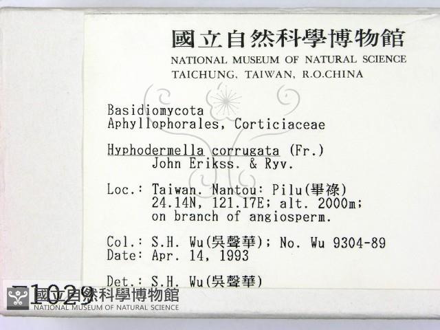 登錄號:F0001029藏品圖，第2張