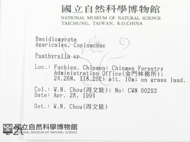 登錄號:F0002029藏品圖，第2張