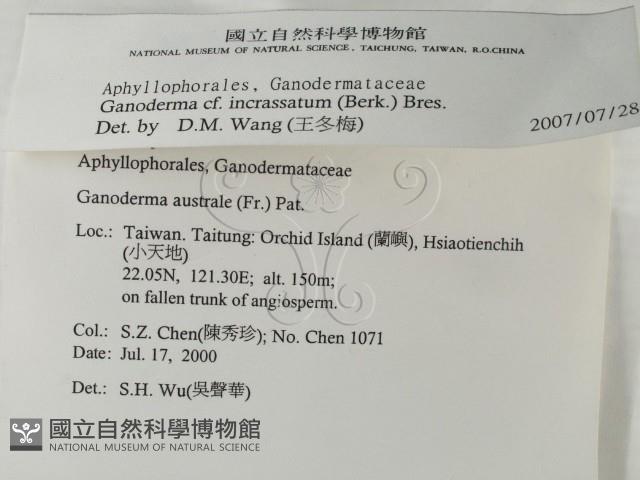 登錄號:F0012029藏品圖，第2張