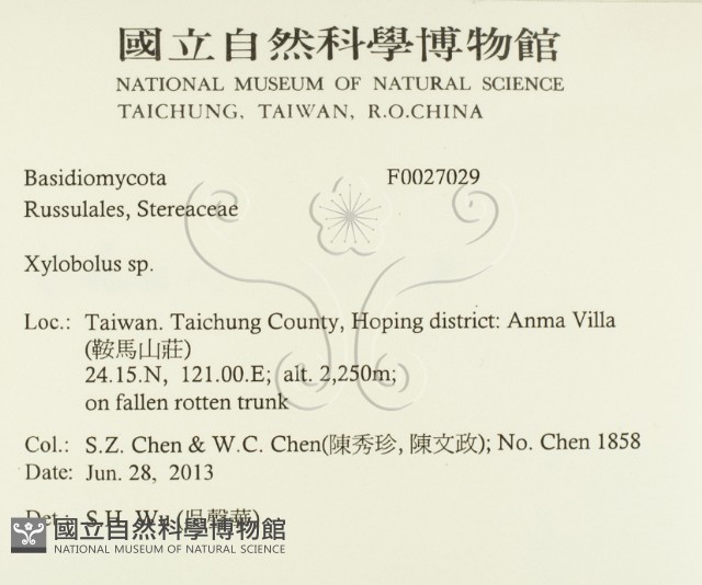 登錄號:F0027029藏品圖，第2張