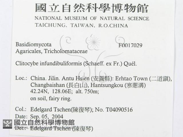 登錄號:F0017029藏品圖，第2張