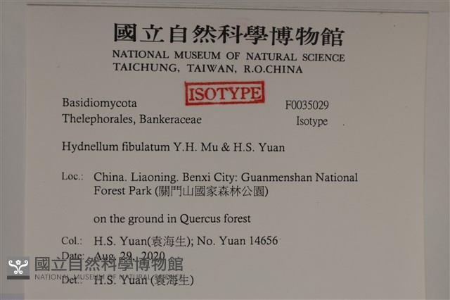 登錄號:F0035029藏品圖，第2張