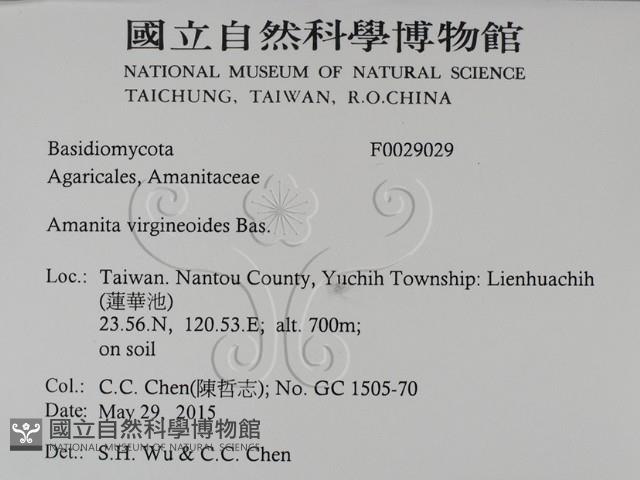 登錄號:F0029029藏品圖，第2張