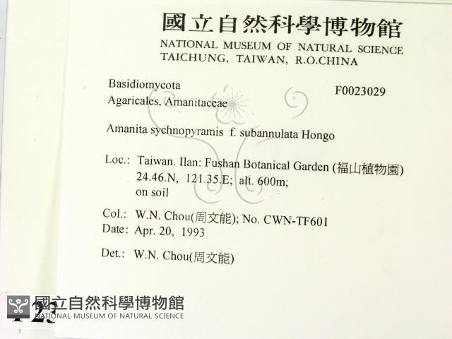 登錄號:F0023029藏品圖，第2張