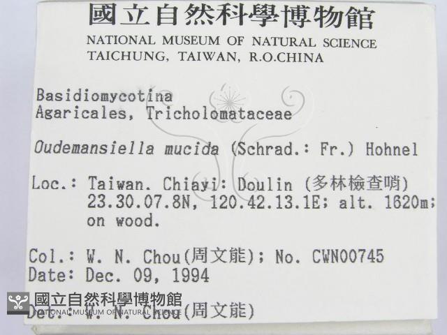 登錄號:F0003029藏品圖，第2張