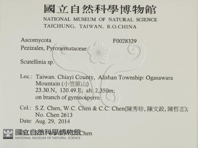 登錄號:F0028329藏品圖，第2張