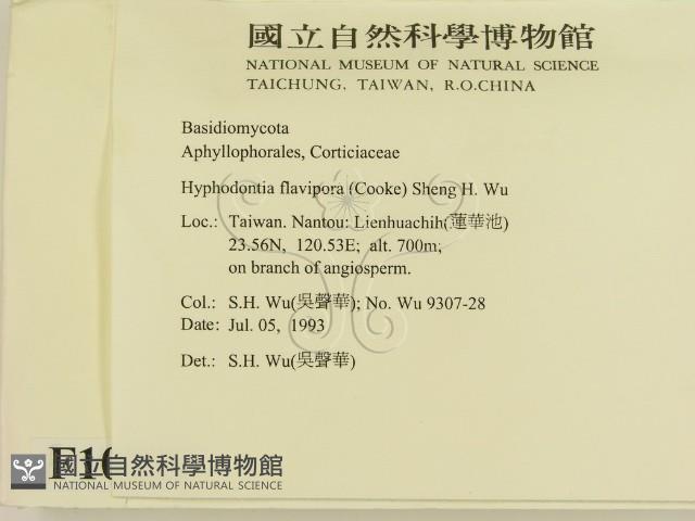 登錄號:F0010329藏品圖，第2張