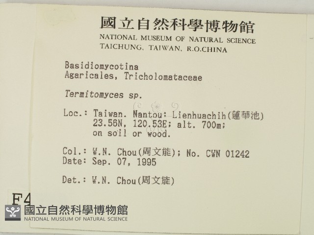 登錄號:F0004329藏品圖，第2張