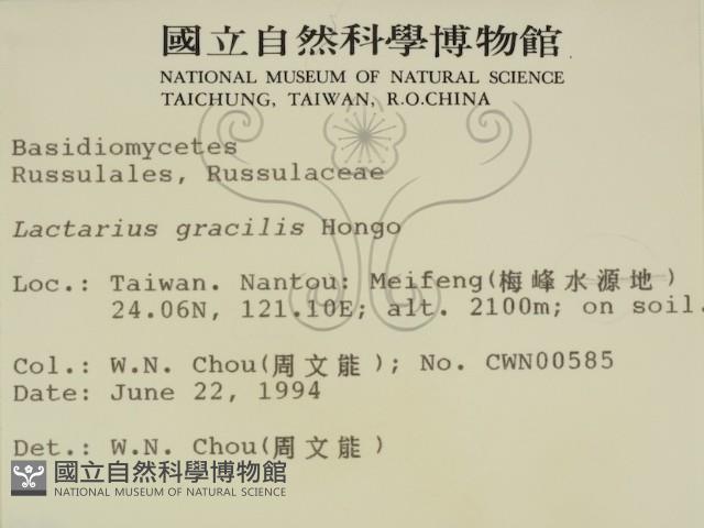 登錄號:F0002329藏品圖，第2張