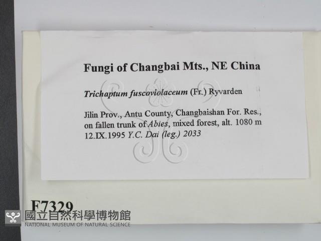 登錄號:F0007329藏品圖，第2張