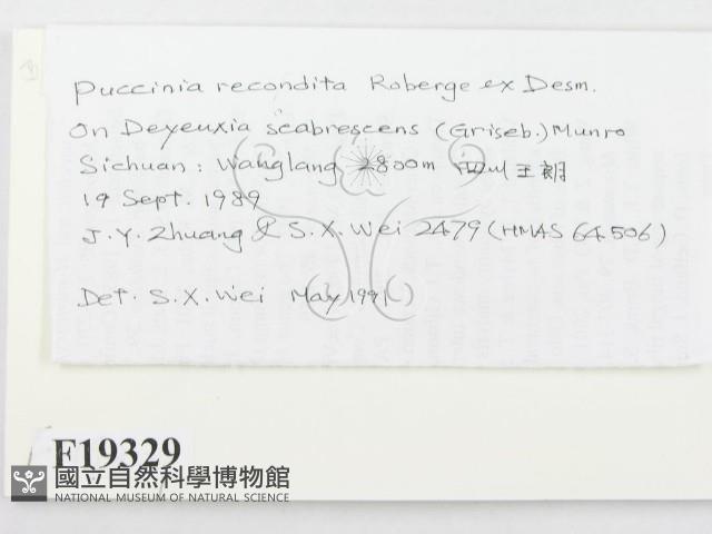 登錄號:F0019329藏品圖，第2張