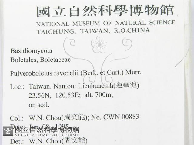 登錄號:F0003329藏品圖，第2張