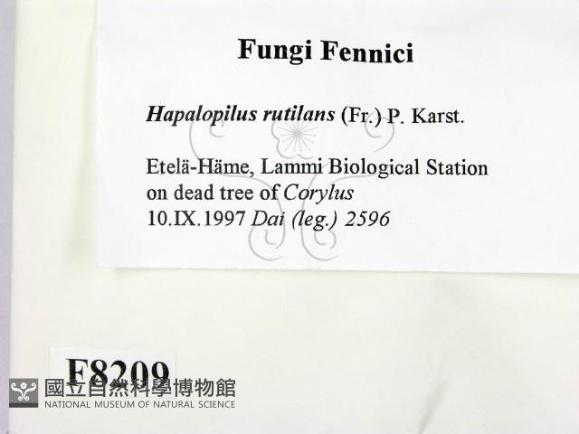 登錄號:F0008209藏品圖，第2張