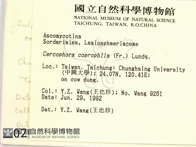 登錄號:F0000209藏品圖，第2張