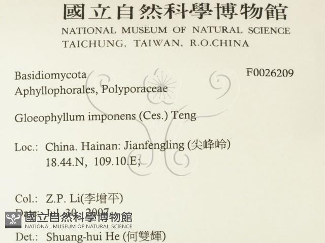 登錄號:F0026209藏品圖，第2張