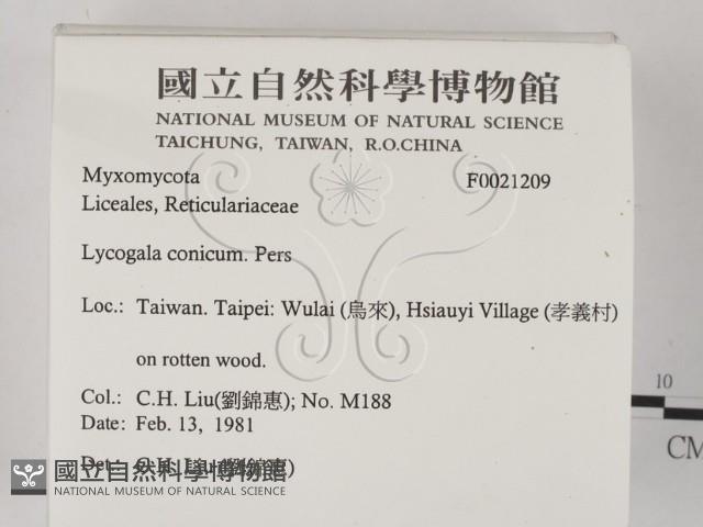 登錄號:F0021209藏品圖，第2張