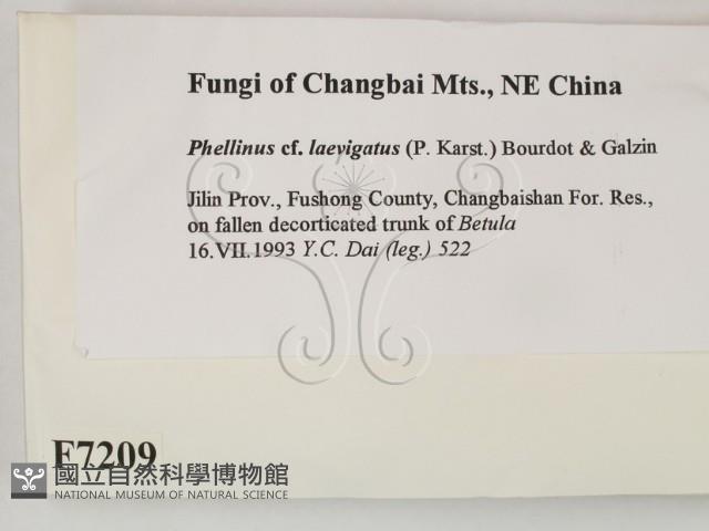 登錄號:F0007209藏品圖，第2張