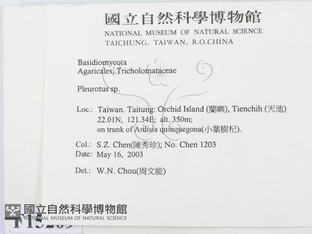 登錄號:F0015209藏品圖，第2張