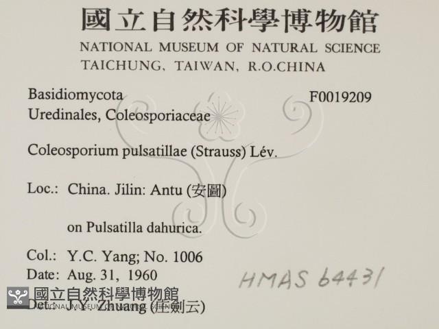 登錄號:F0019209藏品圖，第2張