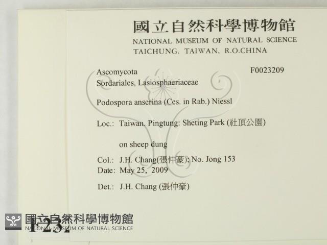 登錄號:F0023209藏品圖，第2張