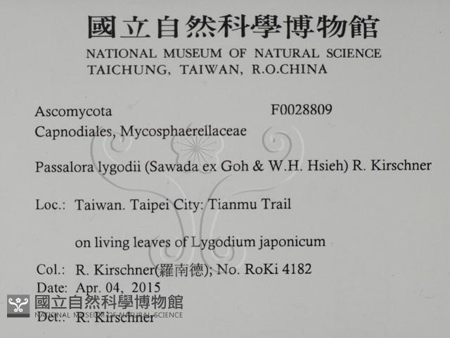 登錄號:F0028809藏品圖，第2張