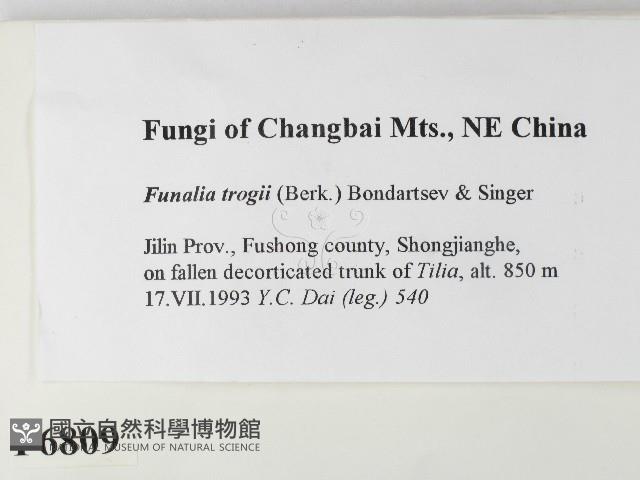 登錄號:F0006809藏品圖，第2張