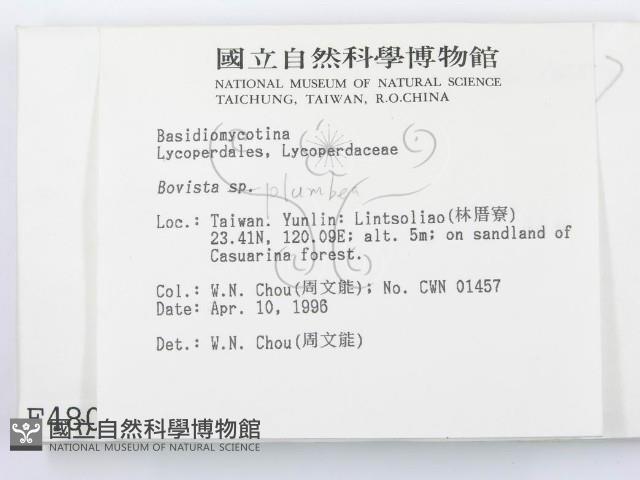 登錄號:F0004809藏品圖，第2張
