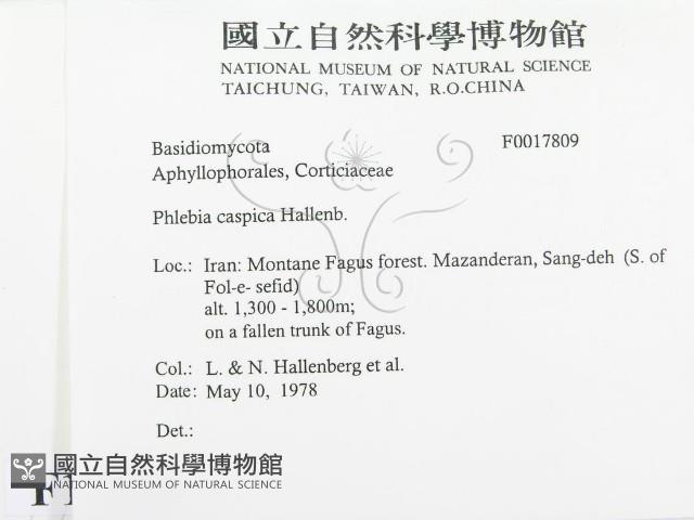 登錄號:F0017809藏品圖，第2張