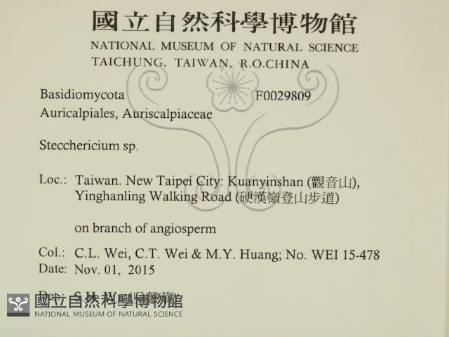 登錄號:F0029809藏品圖，第2張