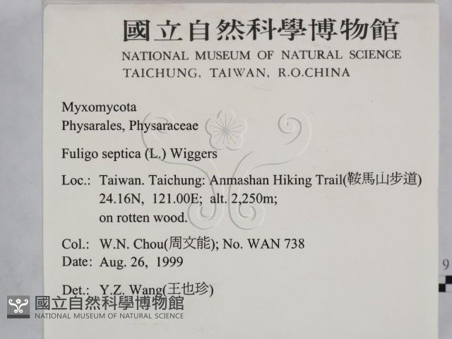 登錄號:F0009809藏品圖，第2張