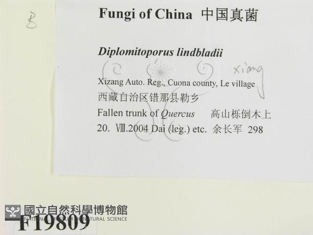 登錄號:F0019809藏品圖，第2張