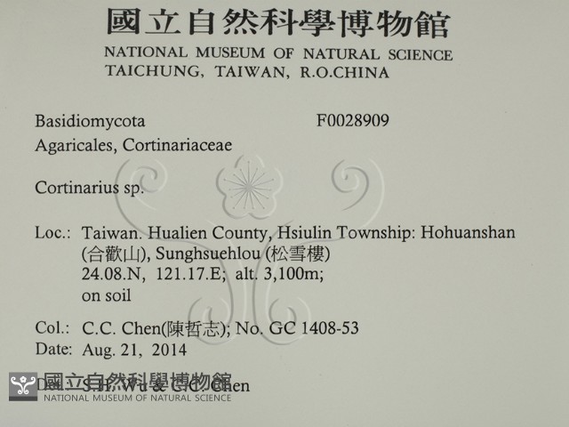 登錄號:F0028909藏品圖，第2張