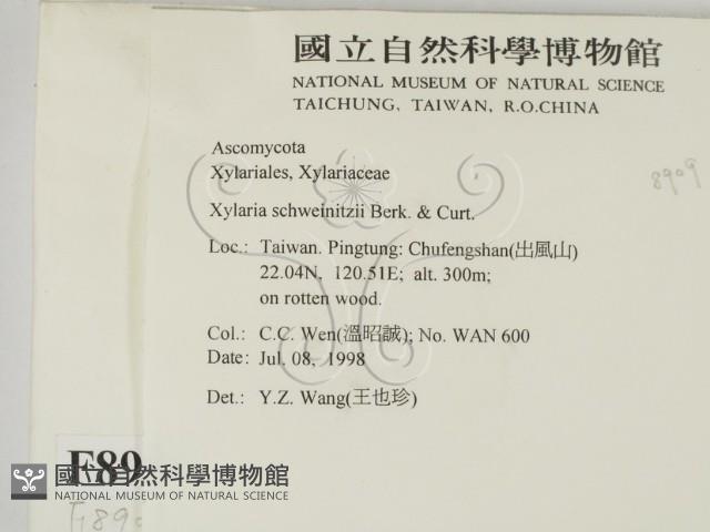 登錄號:F0008909藏品圖，第2張