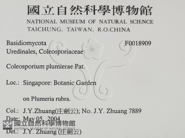 登錄號:F0018909藏品圖，第2張