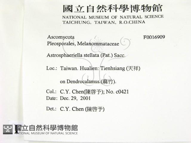 登錄號:F0016909藏品圖，第2張