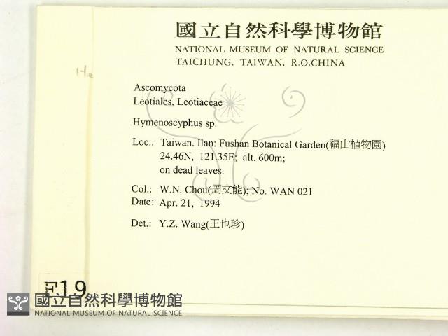登錄號:F0001909藏品圖，第2張
