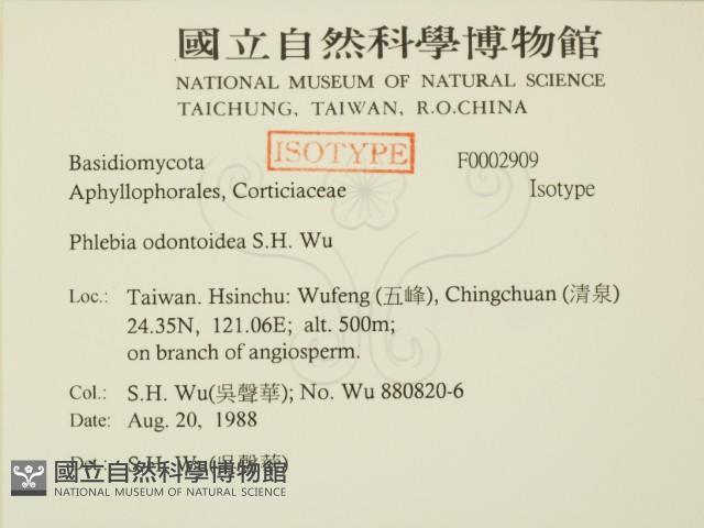 登錄號:F0002909藏品圖，第2張